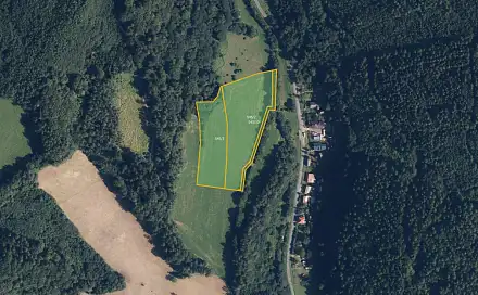 Prodej louky 15 330 m², Ruda nad Moravou - Hostice, okres Šumperk