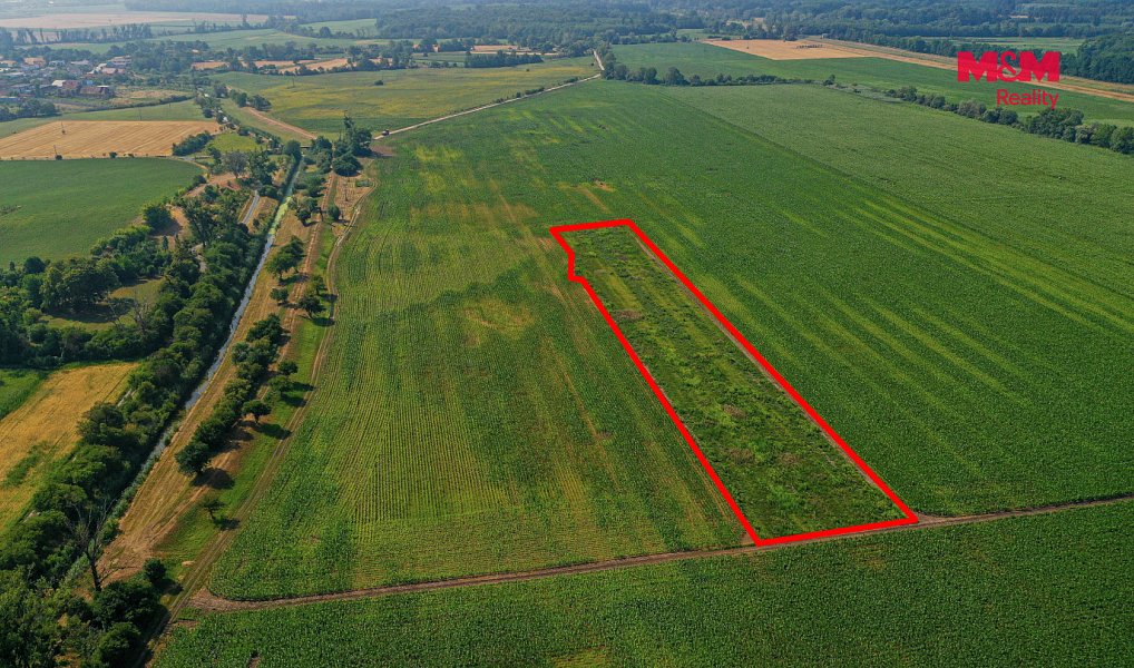 Prodej pole 9 227 m², Podivín – náhled fotky 6