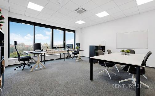 Pronájem obchodních prostor 540 m², Hlavní, Lelekovice, okres Brno-venkov