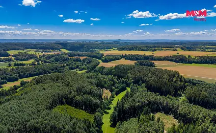 Prodej lesa 57 919 m², Bílá, okres Liberec