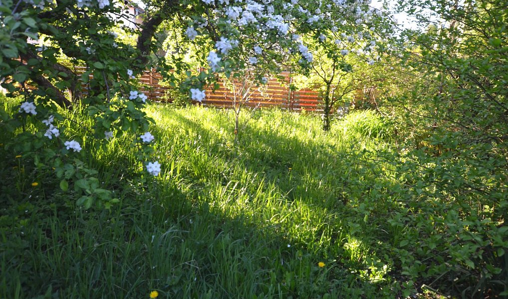 Prodej domu 107 m² s pozemkem 453 m², Štětí – náhled fotky 8