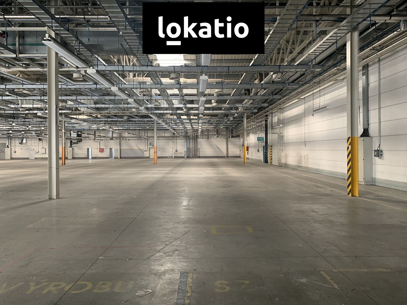 Pronájem skladovacích prostor 5 000 m² — photo 4
