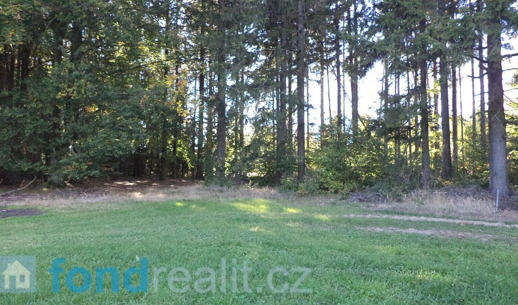 Prodej pozemku 4 992 m², Studená – náhled fotky 6