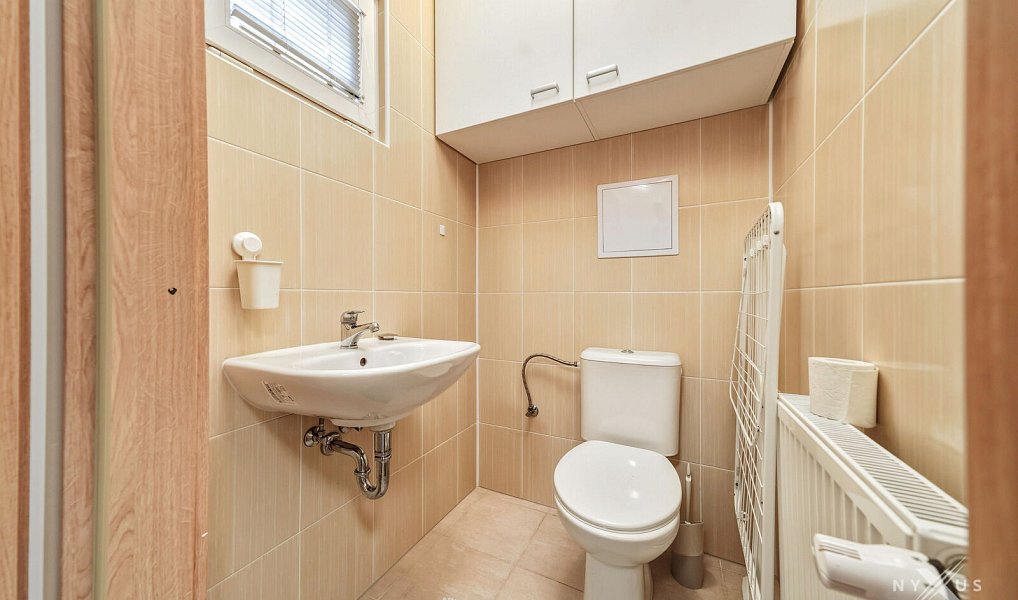 Pronájem domu 117 m² s pozemkem 306 m², Hostouň – náhled fotky 16