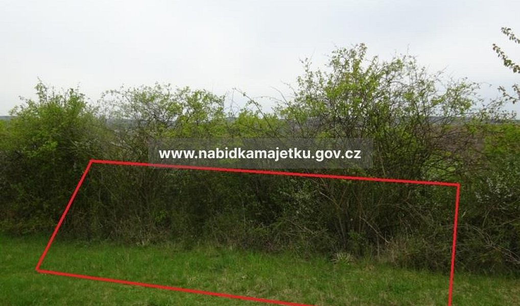 Prodej pole 918 m², Klobouky u Brna – náhled fotky 3