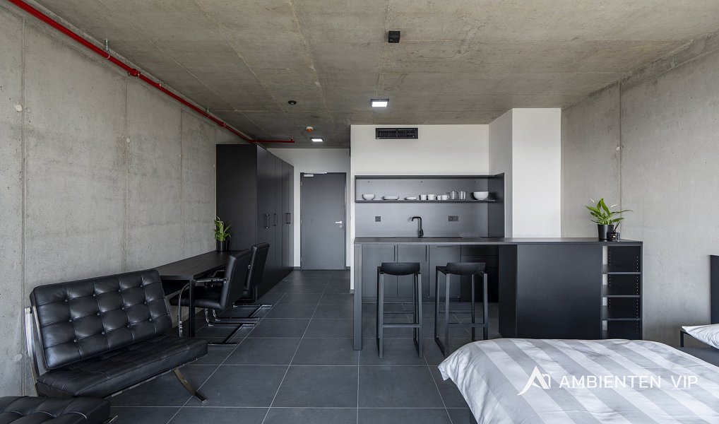 Pronájem bytu 1+kk 42 m², Brno – náhled fotky 8