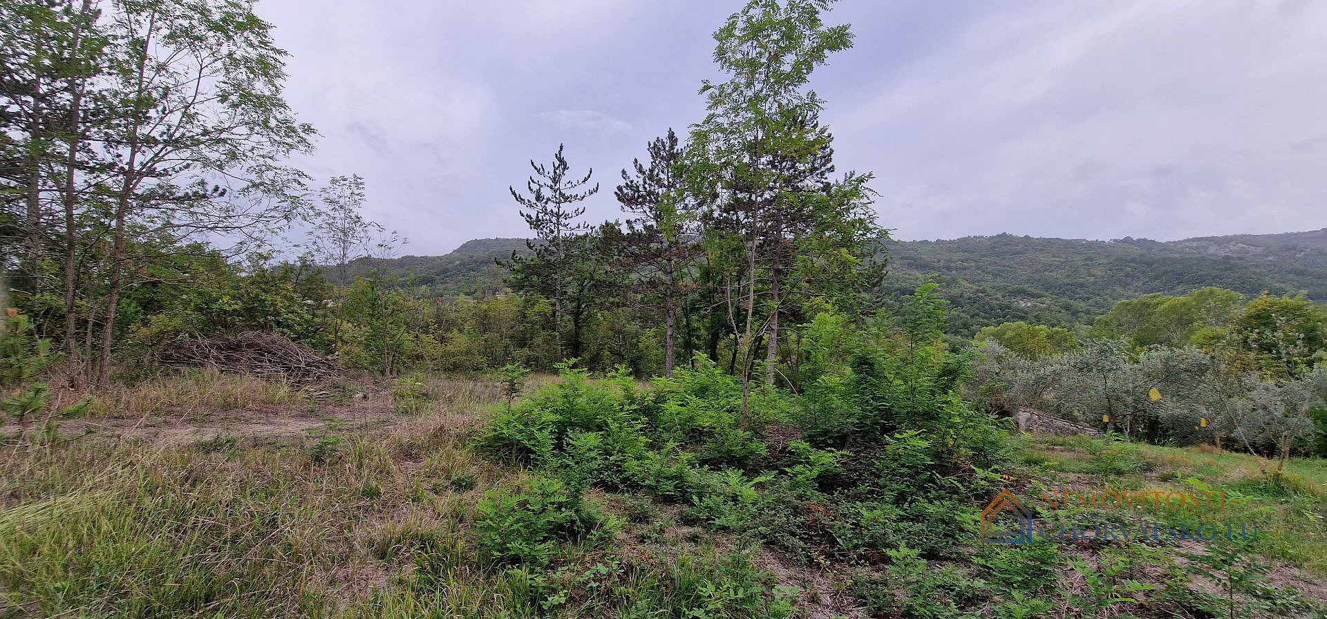 Prodej stavebního pozemku 9 054 m² - Widok 2