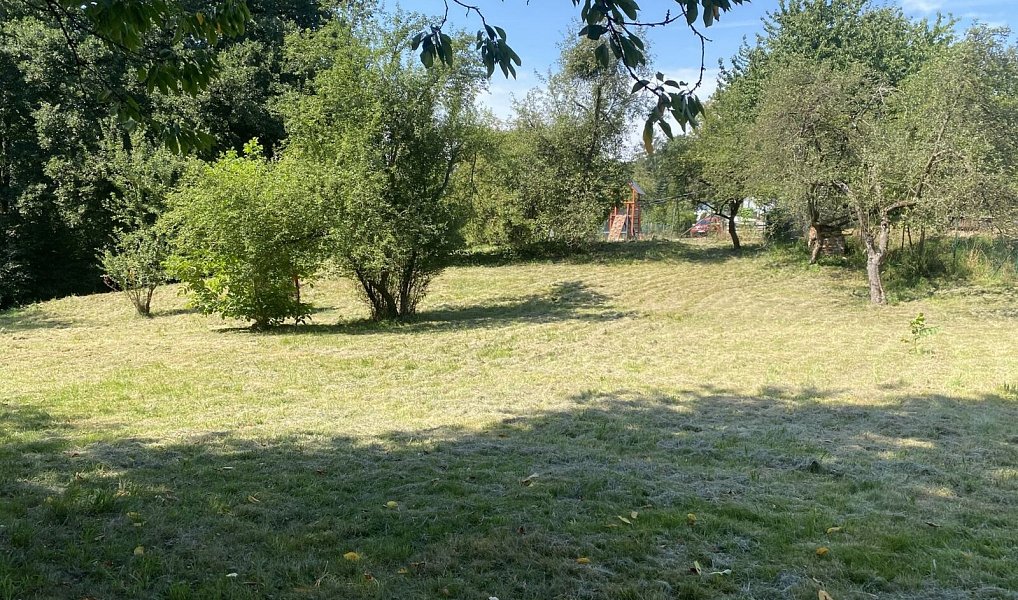 Prodej stavebního pozemku 2 500 m², Dolní Lutyně – náhled fotky 4