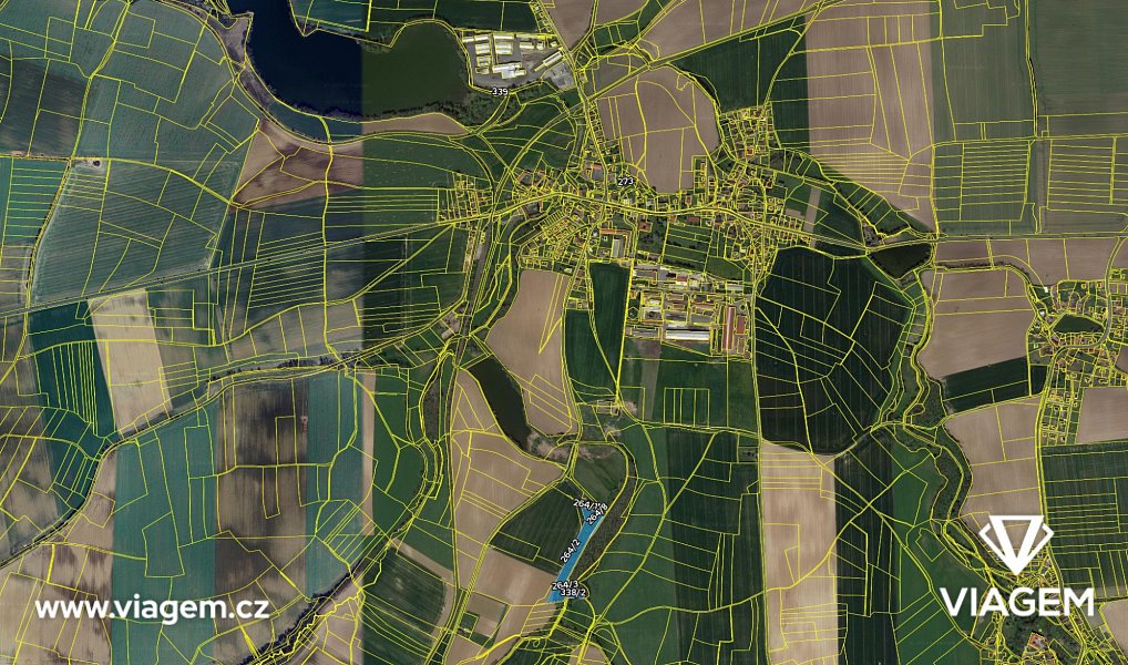 Prodej lesa 1 312 m², Bečváry – náhled fotky 4