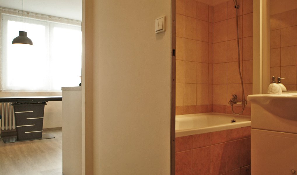 Pronájem bytu 1+1 42 m², Liberec – náhled fotky 16