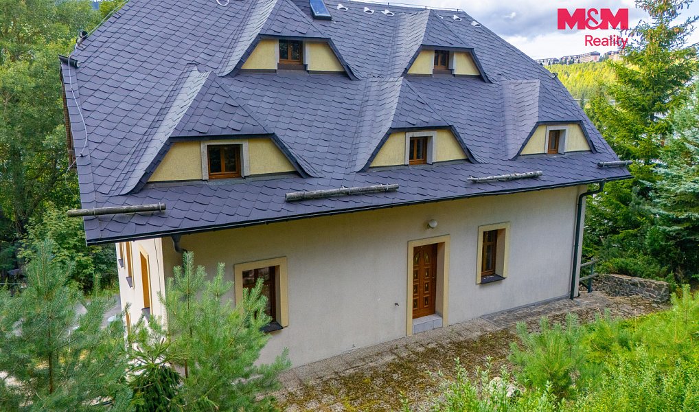 Prodej domu 270 m² s pozemkem 992 m², Loučná pod Klínovcem – náhled fotky 28