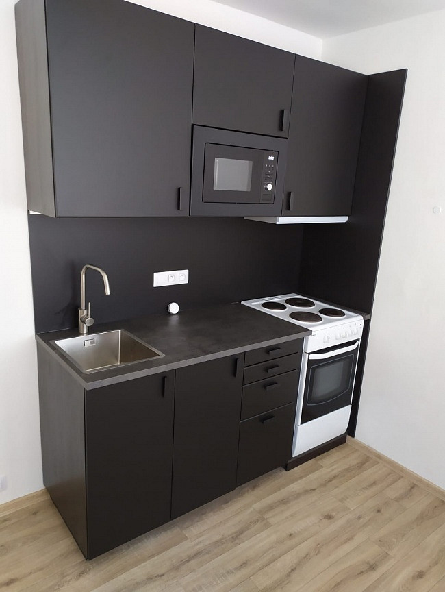 Pronájem bytu 1+1 42 m²