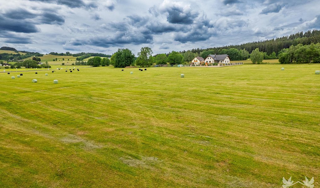 Prodej stavebního pozemku 7 310 m², Stachy – náhled fotky 5
