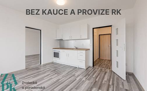 Pronájem bytu 2+kk 47 m², Purkyňova, Ústí nad Labem - Střekov