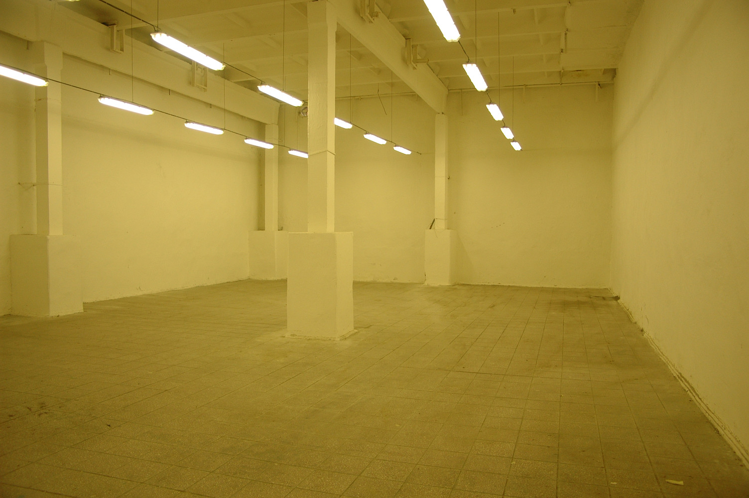 Pronájem skladovacích prostor 220 m² – fotografie 2