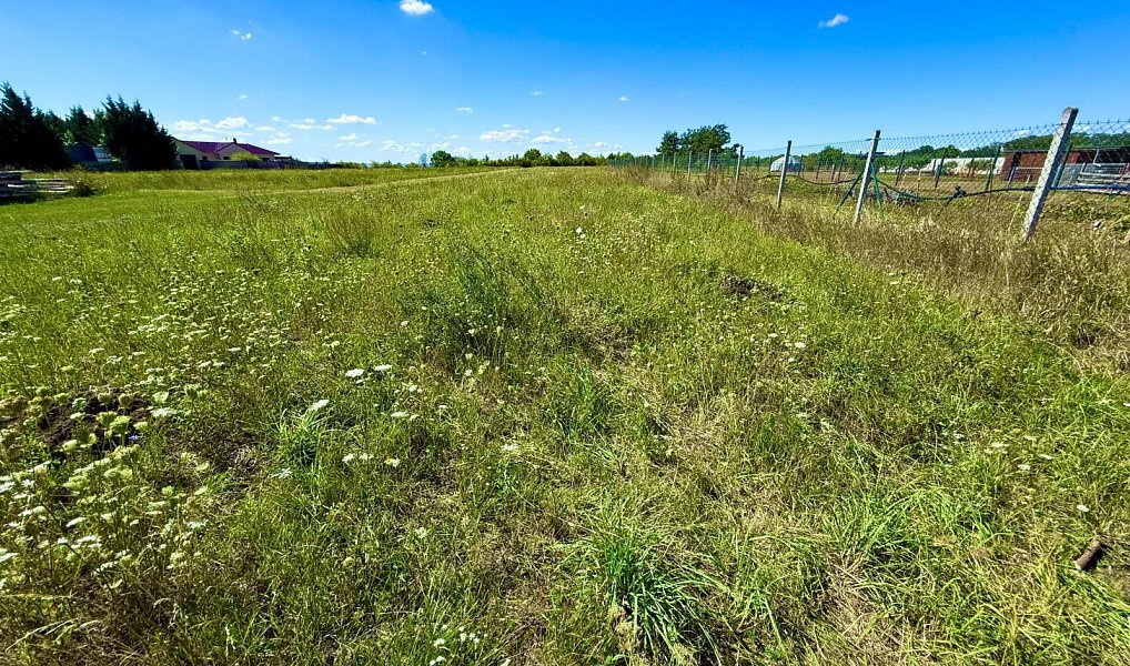 Prodej domu 252 m² s pozemkem 2 927 m², Krabčice – náhled fotky 5