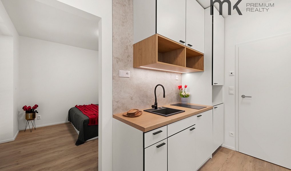 Pronájem bytu 1+1 32 m², Praha – náhled fotky 2
