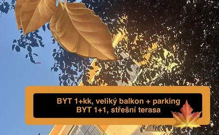 Pronájem bytu 1+kk 51 m²