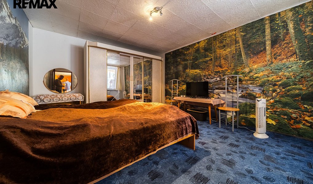 Prodej domu 280 m² s pozemkem 1 208 m², Vémyslice – náhled fotky 8