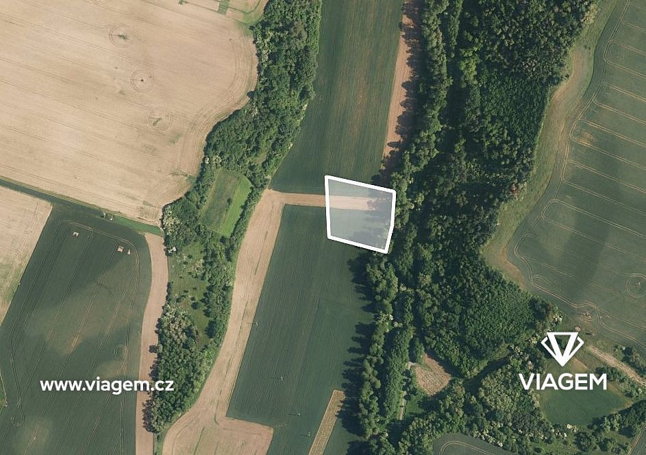 Prodej pole 1 259 m²