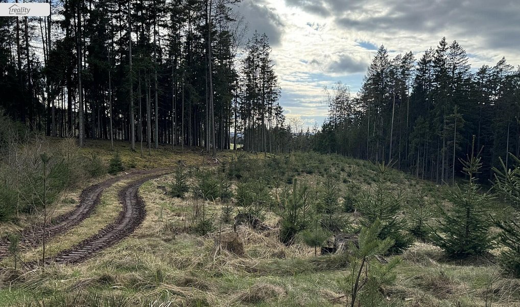 Prodej lesa 35 108 m², Pecka – náhled fotky 16