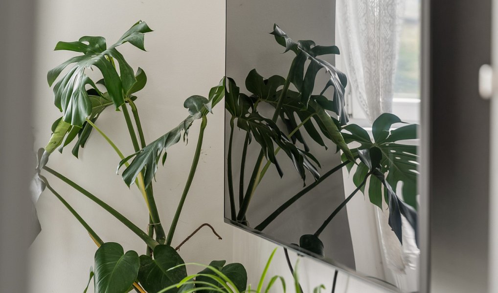 Prodej bytu 2+1 38 m², Praha – náhled fotky 10