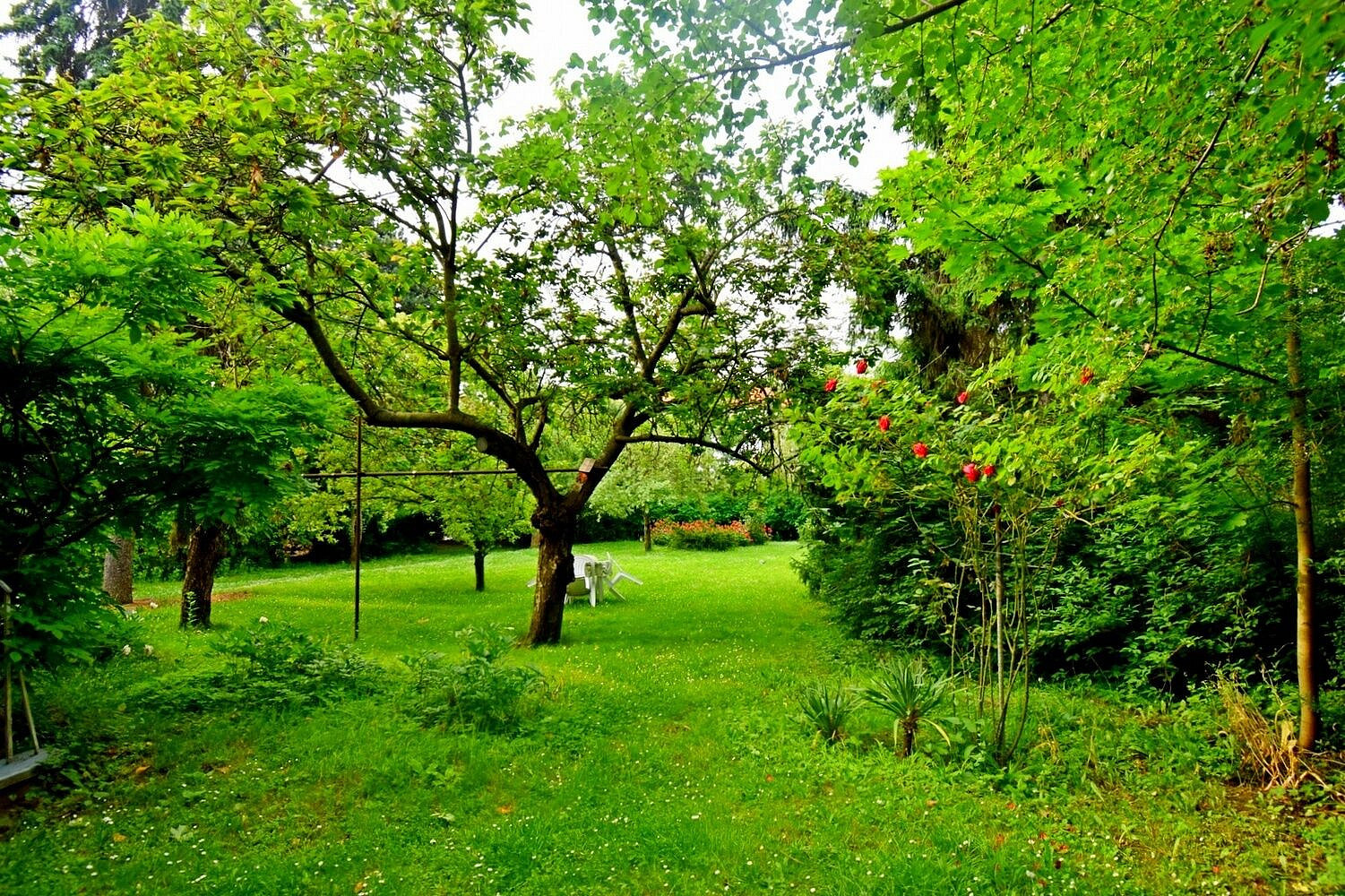 Pronájem kanceláře 60 m² – fotografie 5
