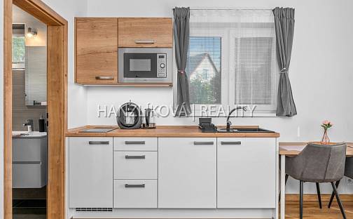 Prodej bytu 1+kk 20 m², Černá v Pošumaví, okres Český Krumlov