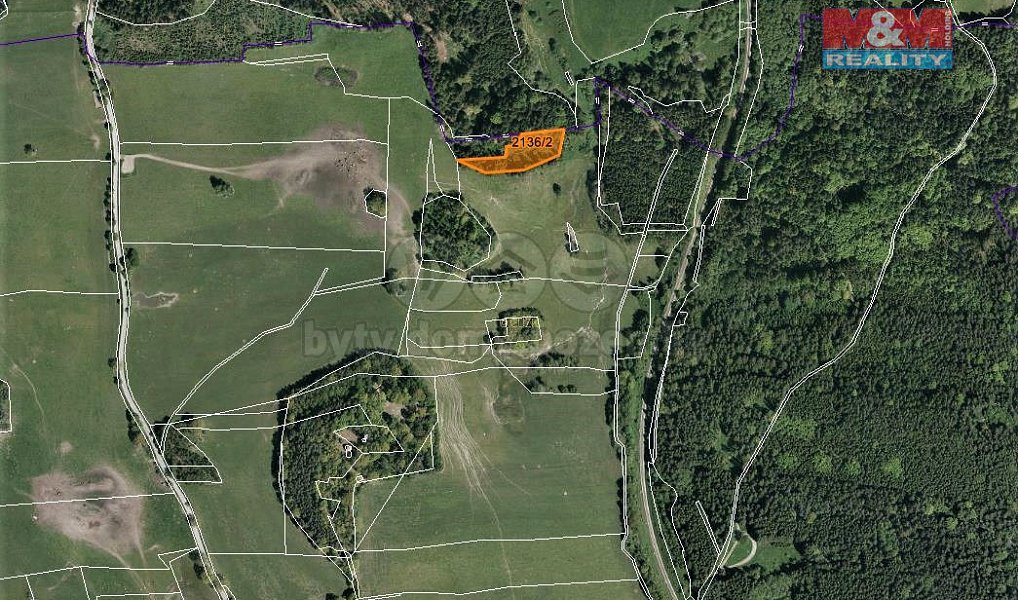 Prodej louky 3 918 m², Horní Dvořiště – náhled fotky 3