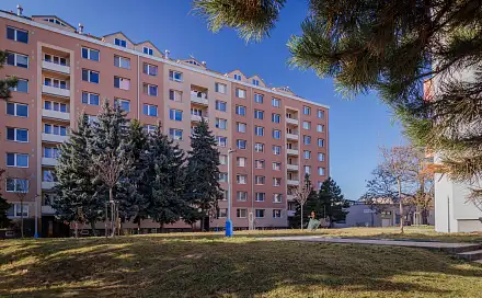 Prodej bytu 1+1 33 m², U Splavu, Břeclav