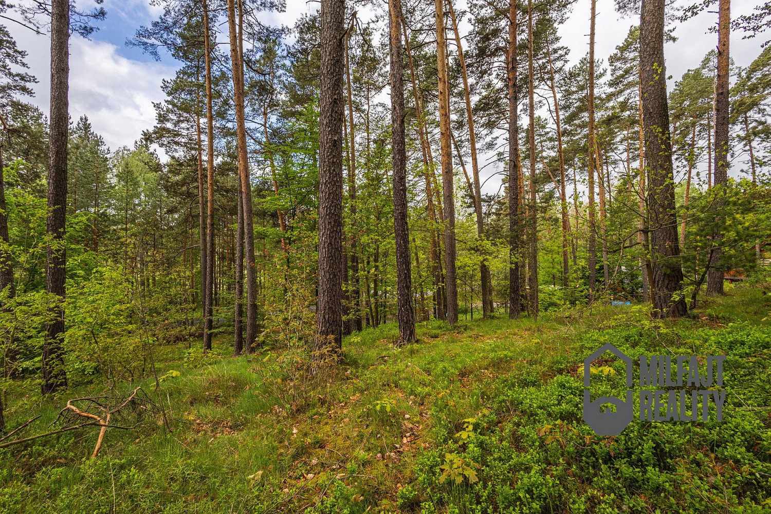 Prodej stavebního pozemku 1 647 m² – další