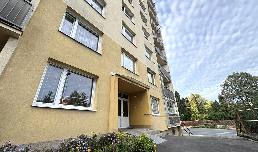 Pronájem bytu 1+kk 20 m², Děčín – náhled fotky 5