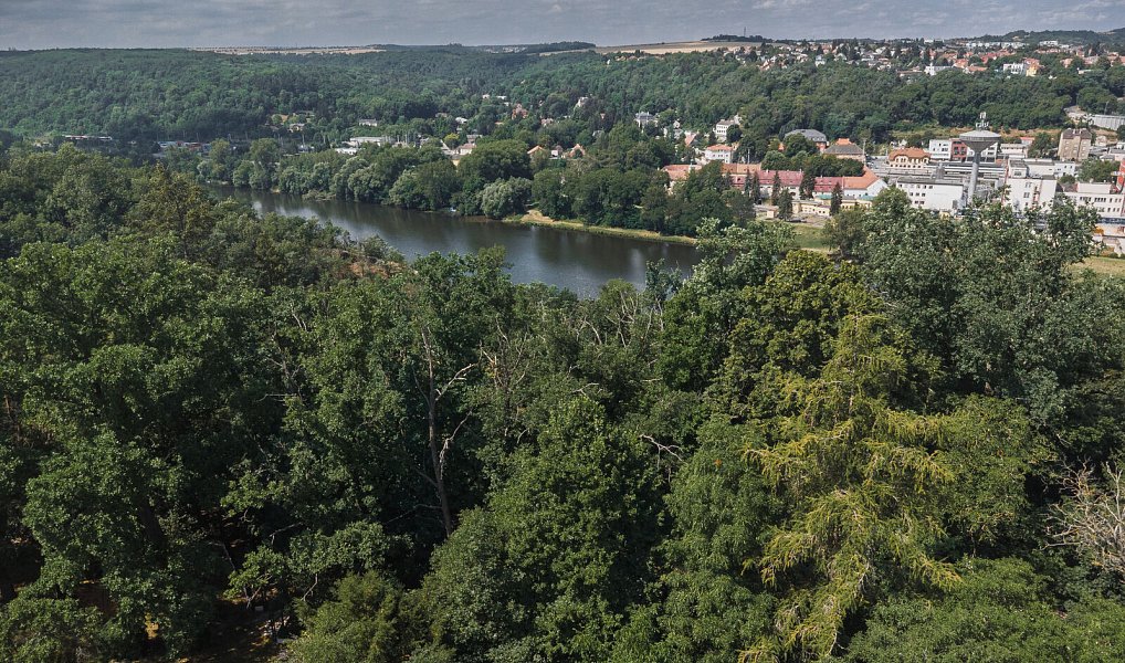 Prodej chaty/chalupy 24 m² s pozemkem 1 480 m², Zdiby – náhled fotky 11