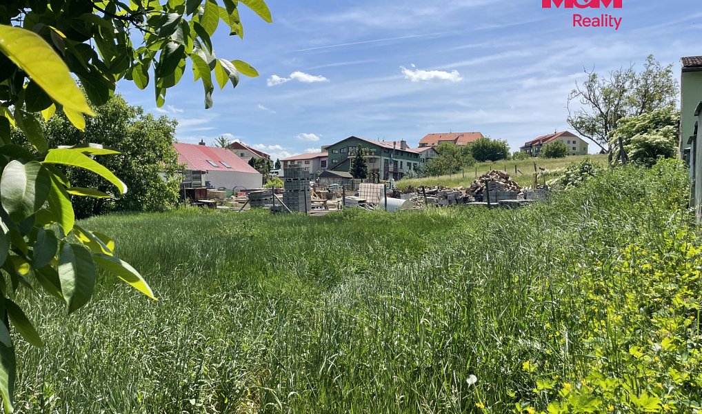 Prodej stavebního pozemku 7 245 m², Holubice – náhled fotky 4
