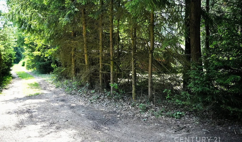 Prodej chaty/chalupy 22 m² s pozemkem 393 m², Dlouhá Ves – náhled fotky 11