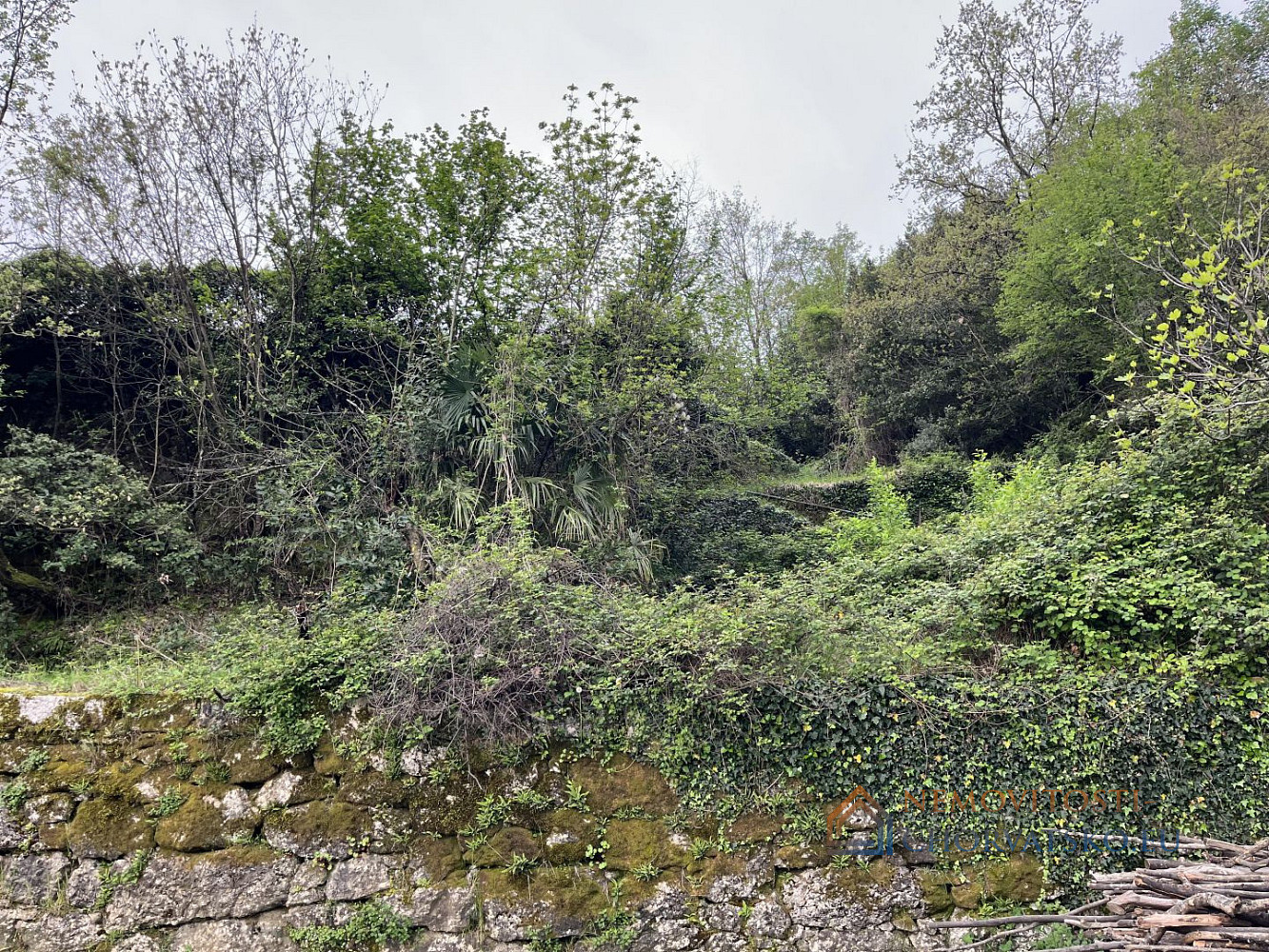 Prodej stavebního pozemku 2 496 m² - Widok 4