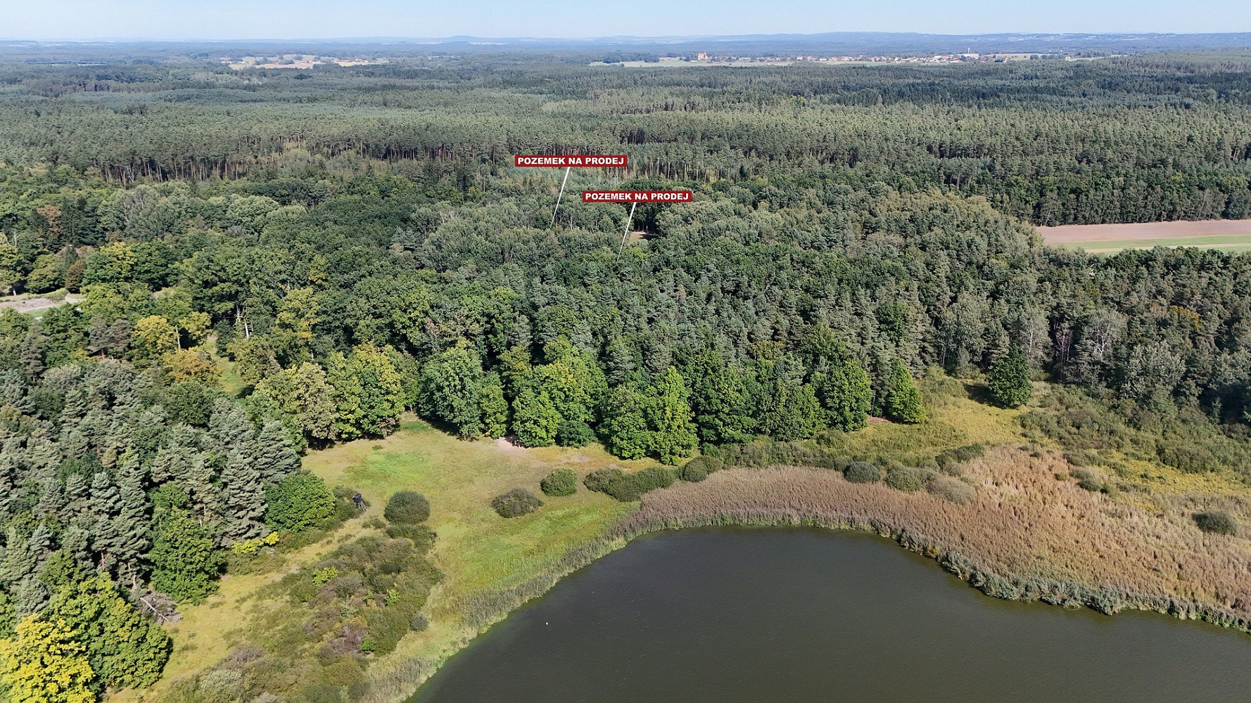 Prodej pole 12 377 m² — photo 4