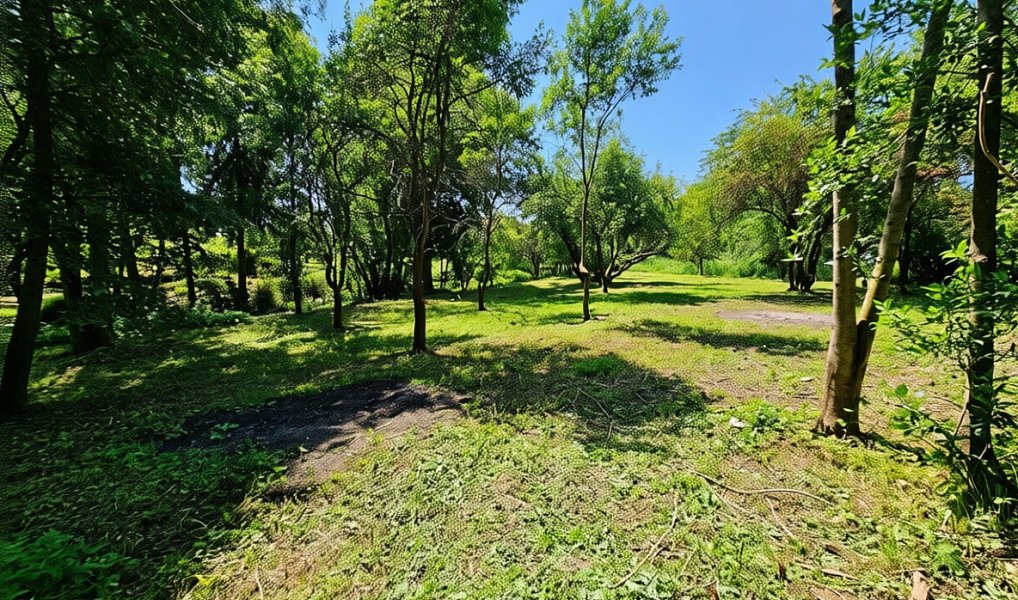 Prodej stavebního pozemku 892 m², Zbýšov – náhled fotky 5