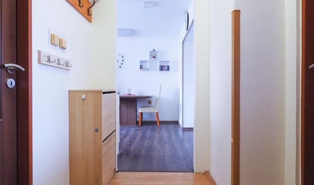 Prodej bytu 2+1 48 m², Žďár nad Sázavou – náhled fotky 19