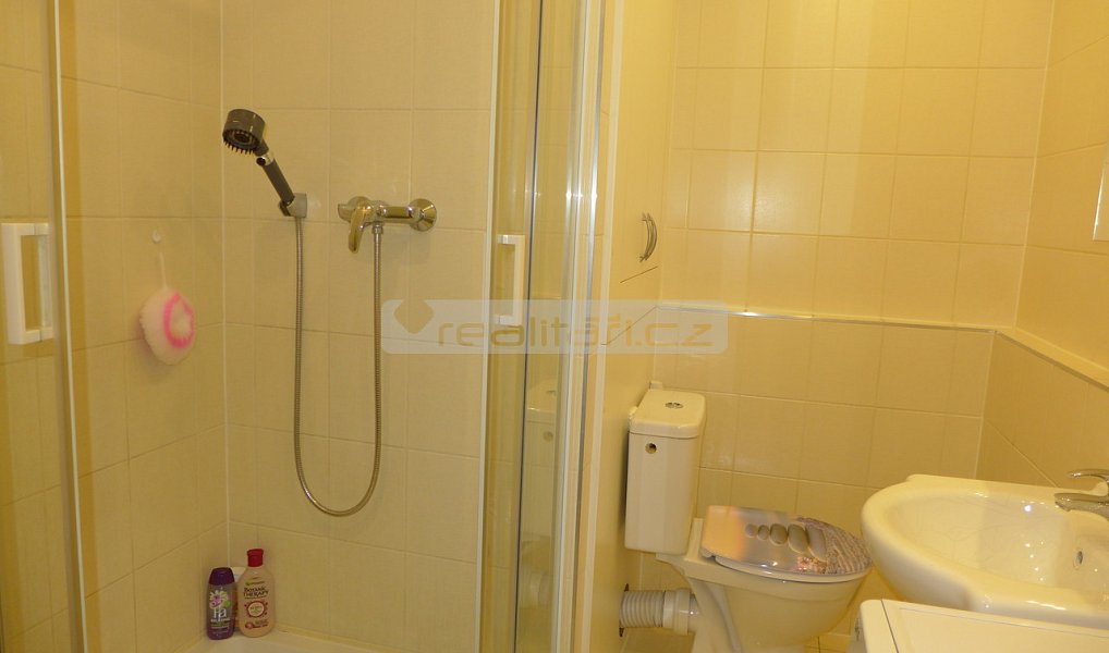Prodej bytu 1+1 40 m², Plzeň – náhled fotky 5