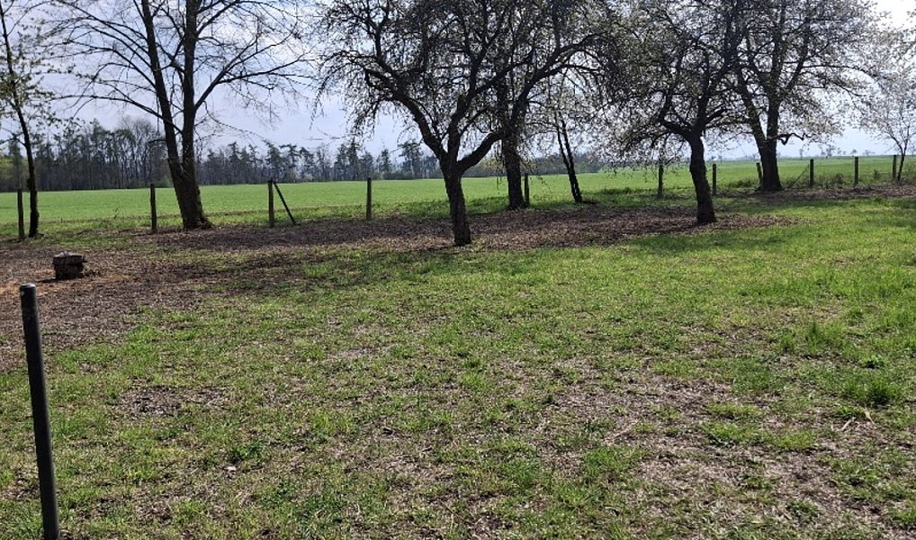 Prodej stavebního pozemku 2 666 m², Jenišovice – náhled fotky 8