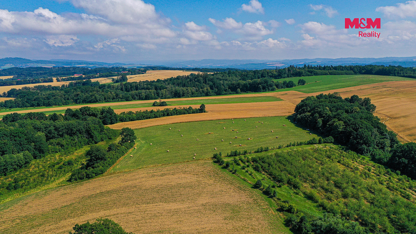 Prodej pole 2 771 m² — photo 4