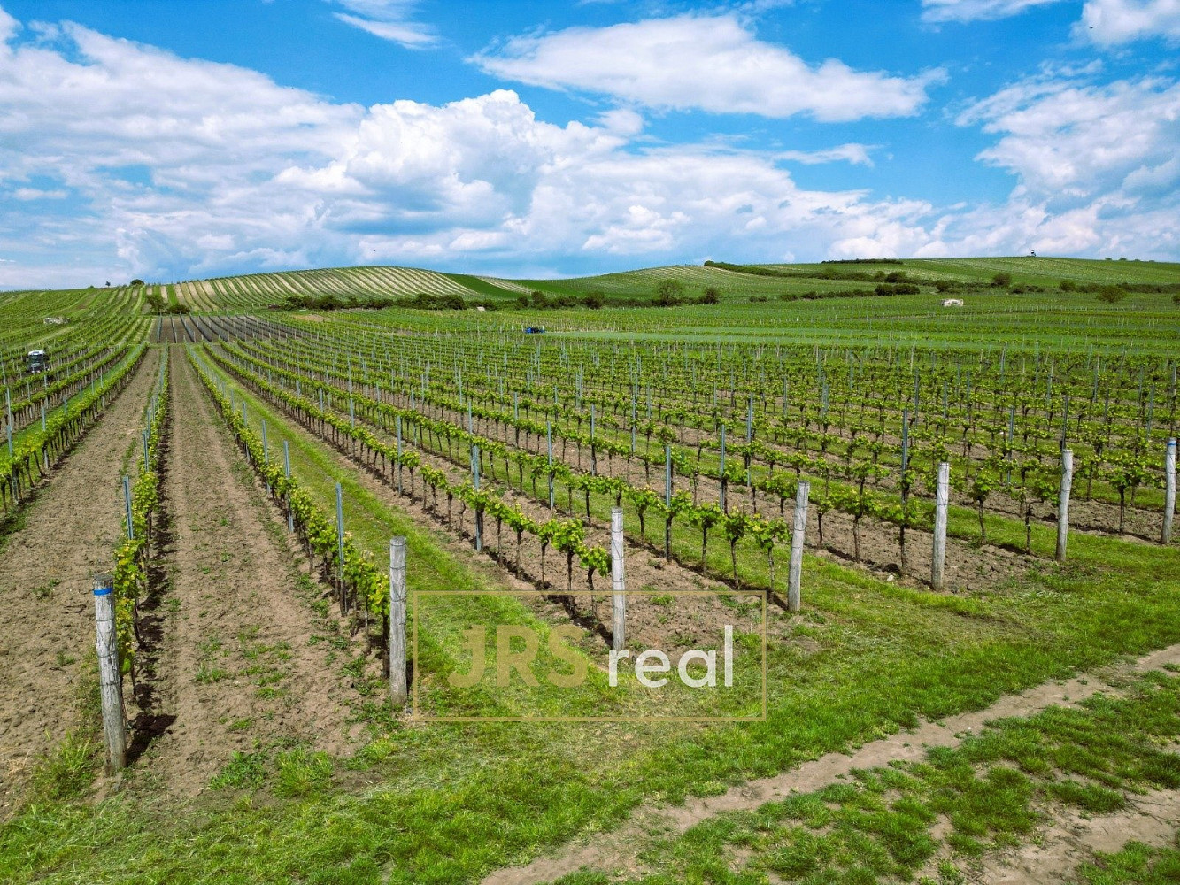 Fotka 2 z 9