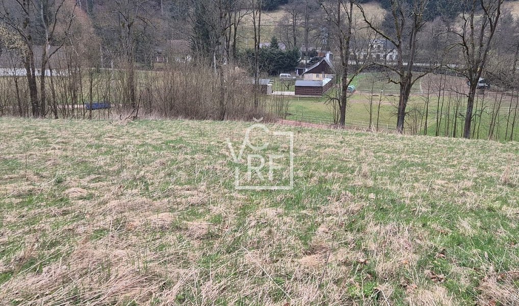 Prodej stavebního pozemku 4 647 m², Teplice nad Metují – náhled fotky 5