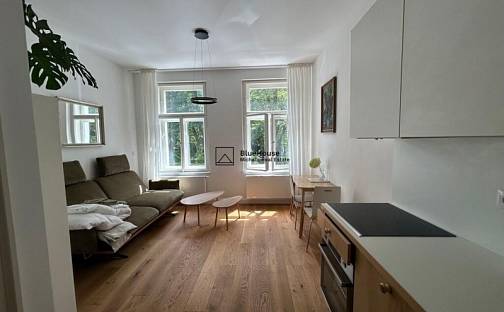 Pronájem bytu 2+kk 54 m², Písek