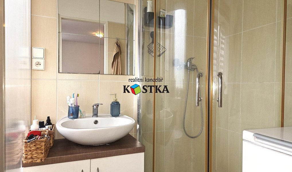 Pronájem bytu 1+1 48 m², Nový Jičín – náhled fotky 6