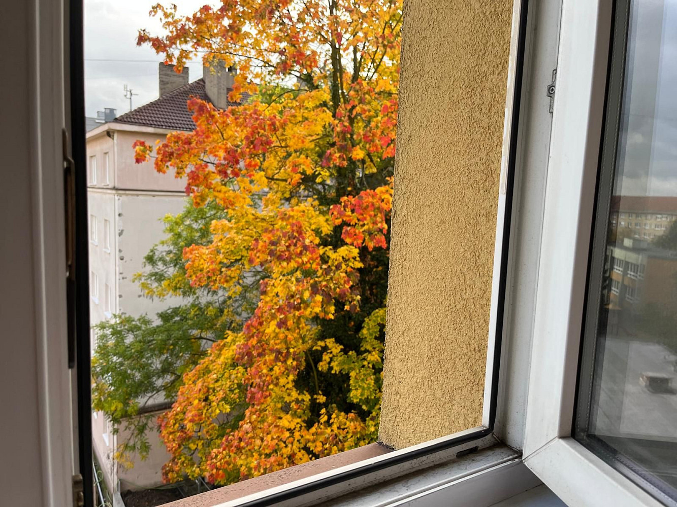 Pronájem bytu 1+kk 22 m² – fotografie 5
