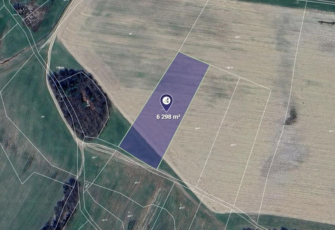 Prodej pole 6 298 m²