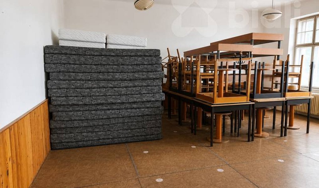 Prodej domu 700 m² s pozemkem 1 136 m², Suchdol nad Lužnicí – náhled fotky 9