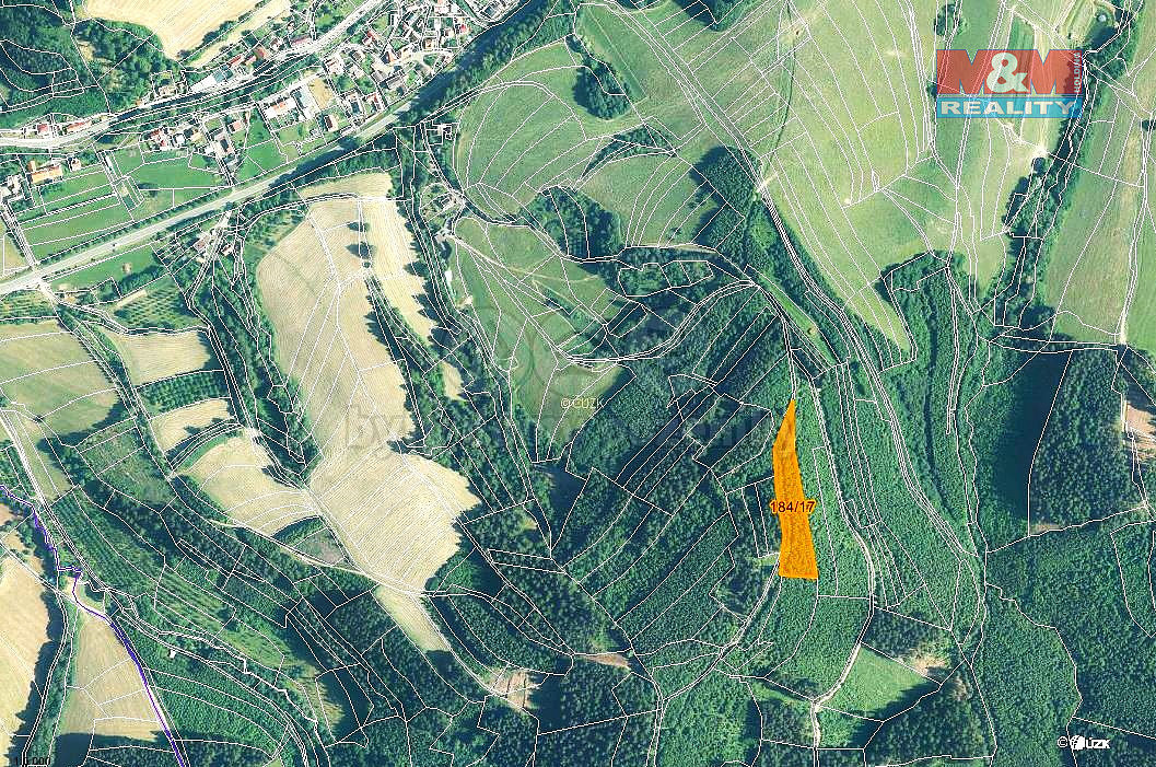 Prodej lesa 5 445 m² – fotografie 3